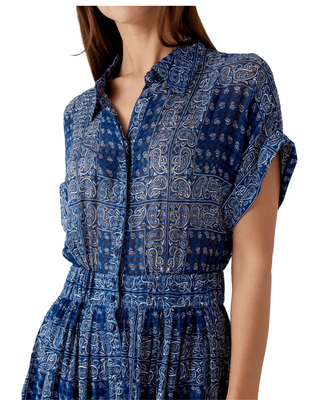 Howard Dress- Inkwell Paisley