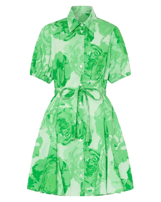 Juni Printed Poplin Dress- Green/White