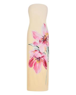 Vera Maxi Dress- Pale Yellow + Pink