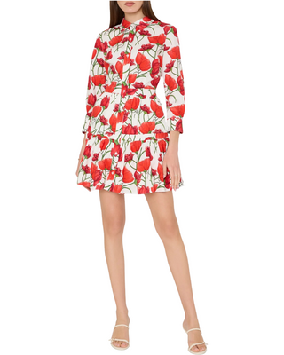 Priscilla Button Down Dress- Red Peonia Poplin
