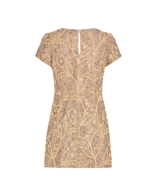 Daisy Embroidered Lace Mini Dress- Gold Multi