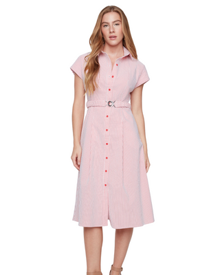 Fit & Flare Seersucker Stripe Dress- Scarlet