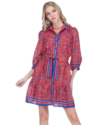 Liberty Paisley Ruffle Hem Shirt Dress