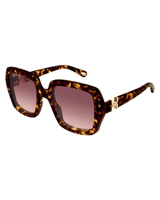 Chloe Marcie Square Sunglasses- Havana Tortoise
