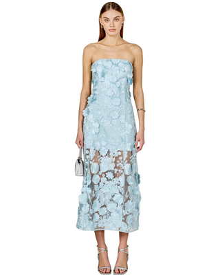 Strapless Floral Embroidered Maxi Dress- Icy Blue