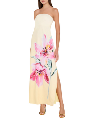 Vera Maxi Dress- Pale Yellow + Pink