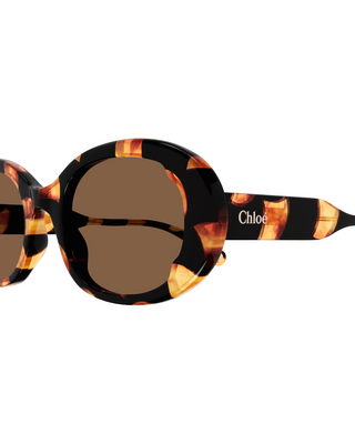 Chloe Lilli Oval Sunglasses- Havana + Brown