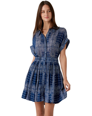 Howard Dress- Inkwell Paisley