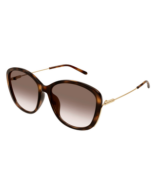 Chloe Soft Square Cat Eye Sunglasses- Havana Brown