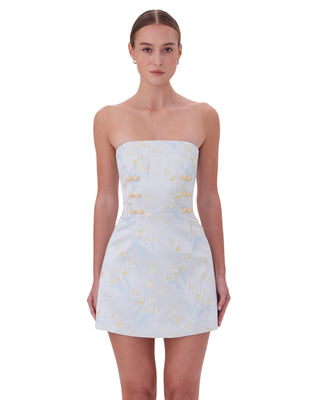 Nina Dress- Pale Blue