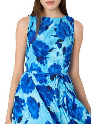 Jasmine Pleated Maxi Dress- Blurred Blossom Blue Multi