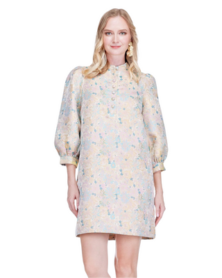 Betsy Bloomsoft Brocade Dress