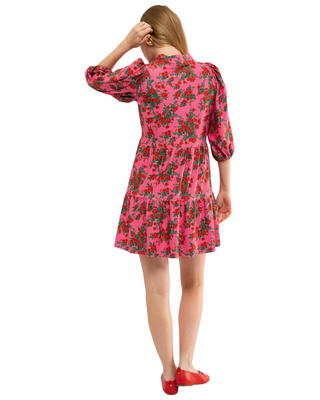 Tory Dress- Shrub Rose