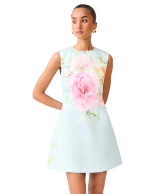 Harper Shift Dress- Baby Blue Floral