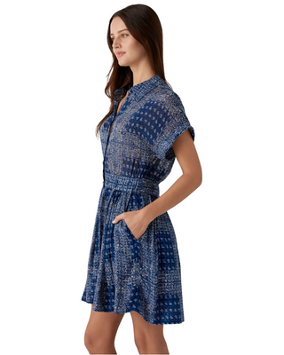 Howard Dress- Inkwell Paisley