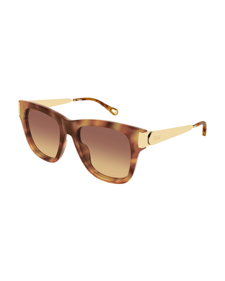 Chloe Oversized Wayfarer Sunglasses- Havana/Brown