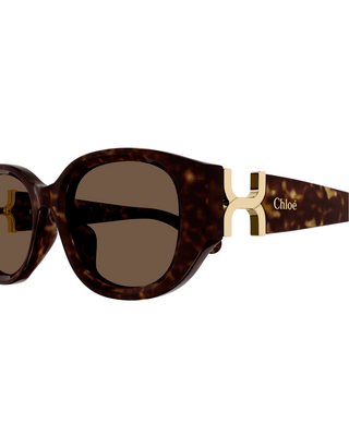 Chloe Marcie Narrow Oval Sunglasses- Havana Brown